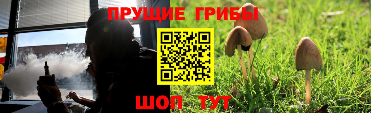 Знаменск  Галлюциногенные грибы Psilocybine cubensis  Вход с VPN 